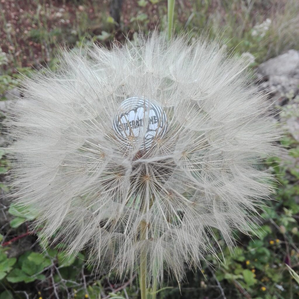 Superazione in ogni dove